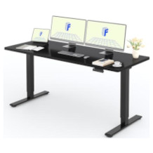 Flexispot höhenverstellbarer Tisch