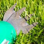 Rasenkantenschneider